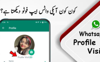 How to Check Who Viewed Your WhatsApp Profile?